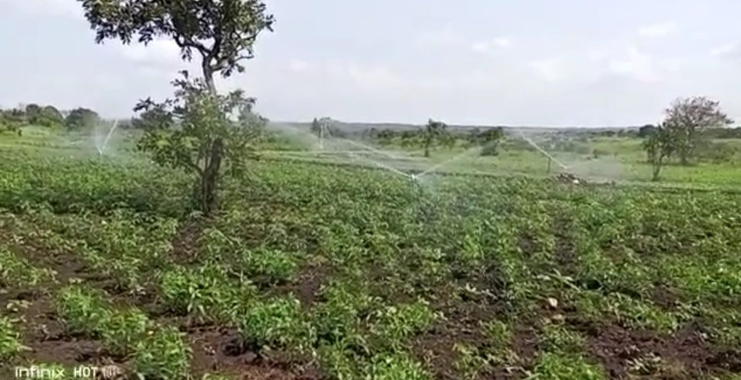 irrigation in agriculture